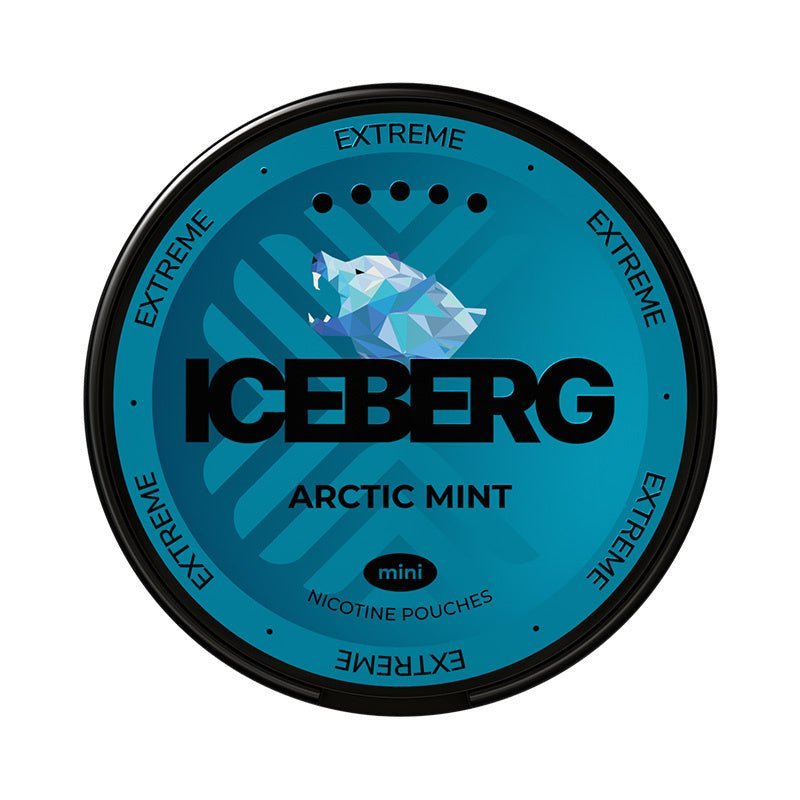 ICEBERG Arctic Mint Mini - Crisp, discreet refreshment