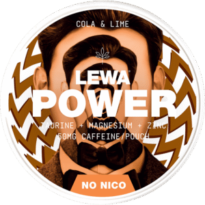 LEWA POWER Cola & Lime No Nico can