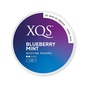 XQS Blueberry Mint 4mg - SHORT DATE DEAL