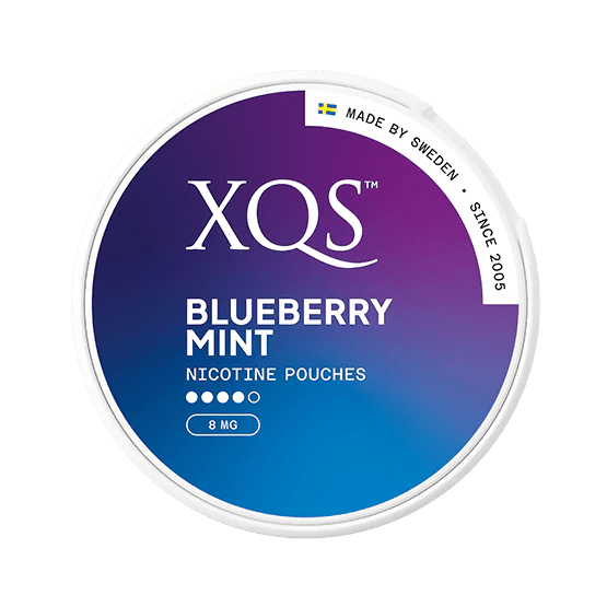 XQS Blueberry Mint Strong 8mg