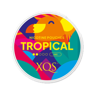 XQS Tropical Slim 4mg nicotine pouches can
